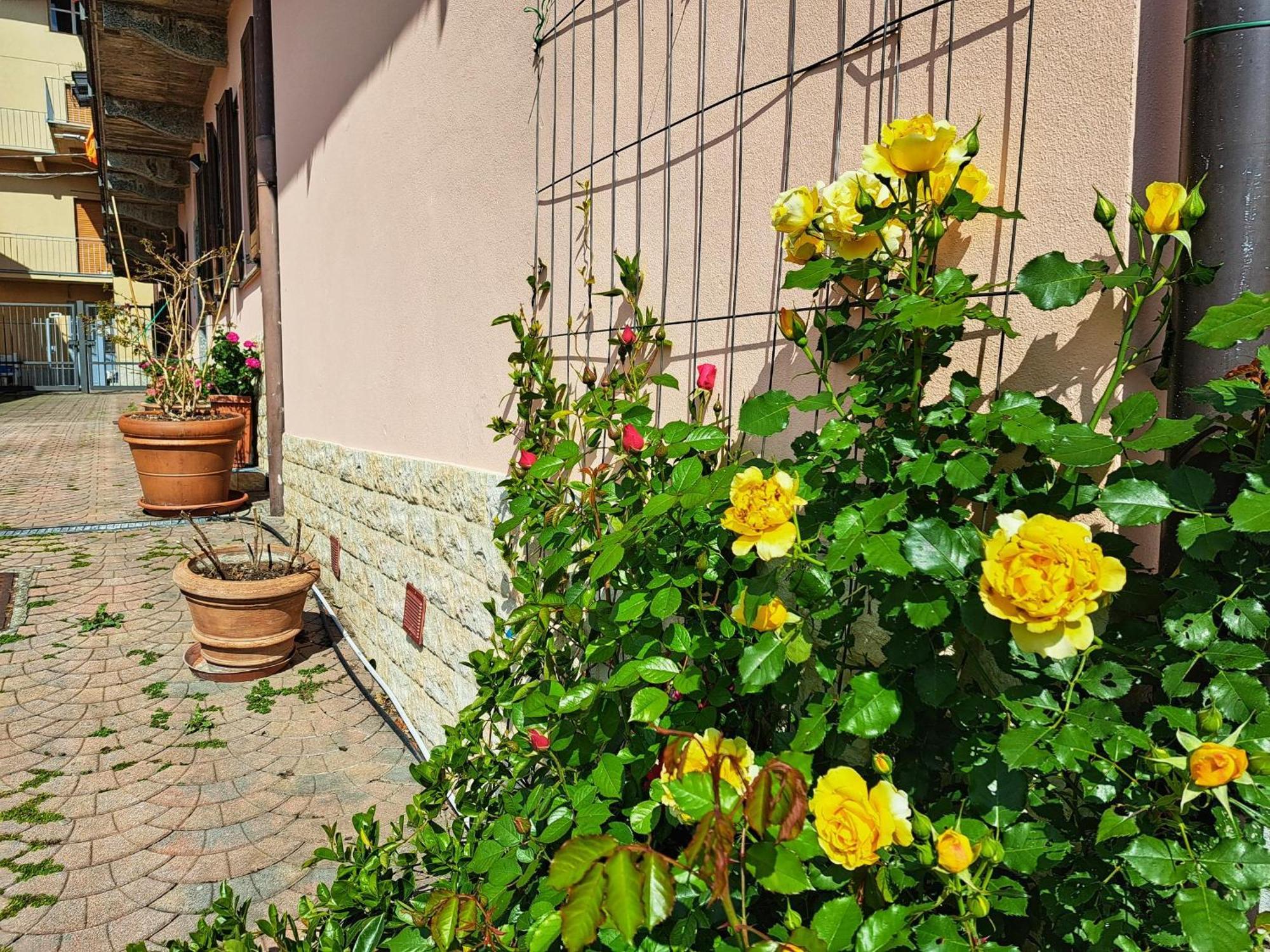 Le Rose Sul Lago Пескате Экстерьер фото