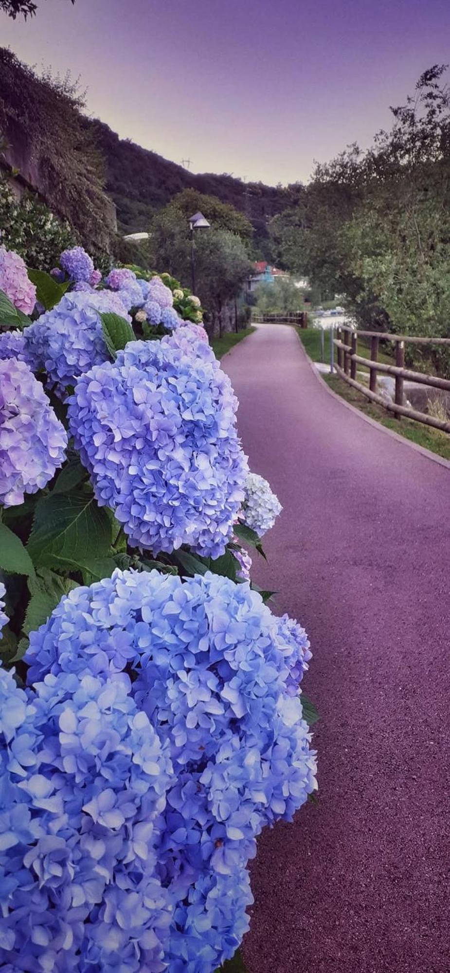 Le Rose Sul Lago Пескате Экстерьер фото